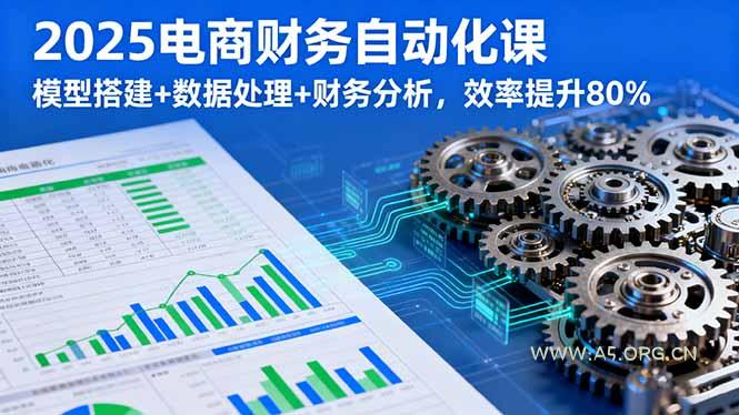 2025电商财务自动化课，模型搭建+数据处理+财务分析，效率提升80%-小红泡